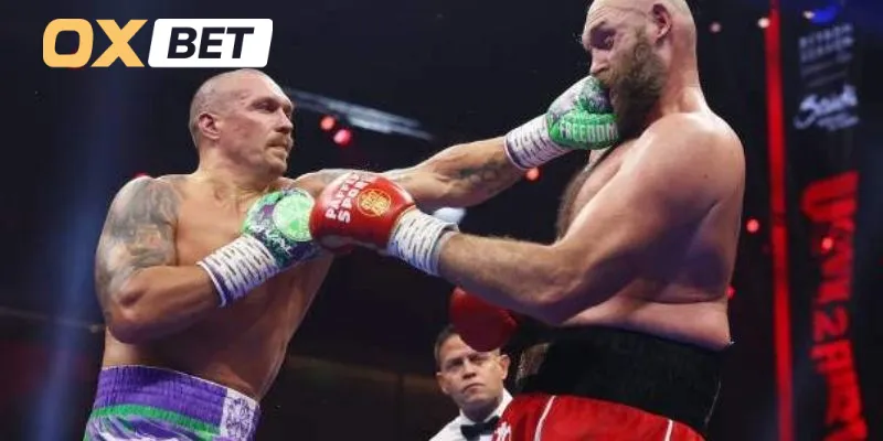 Giới thiệu thông tin cơ bản về Boxing Oxbet