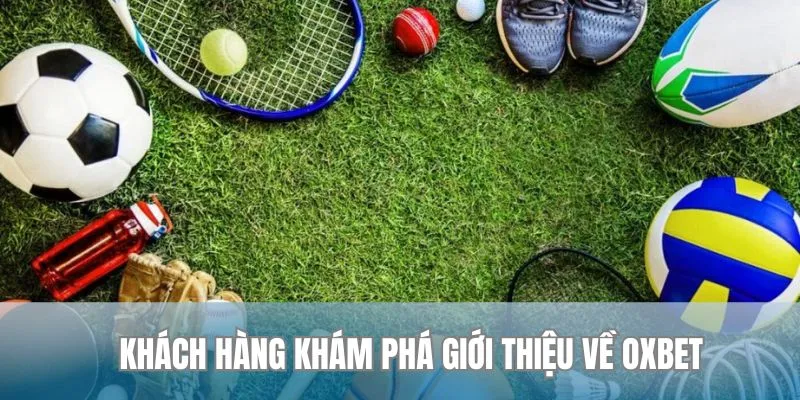 Khách hàng khám phá giới thiệu về Oxbet